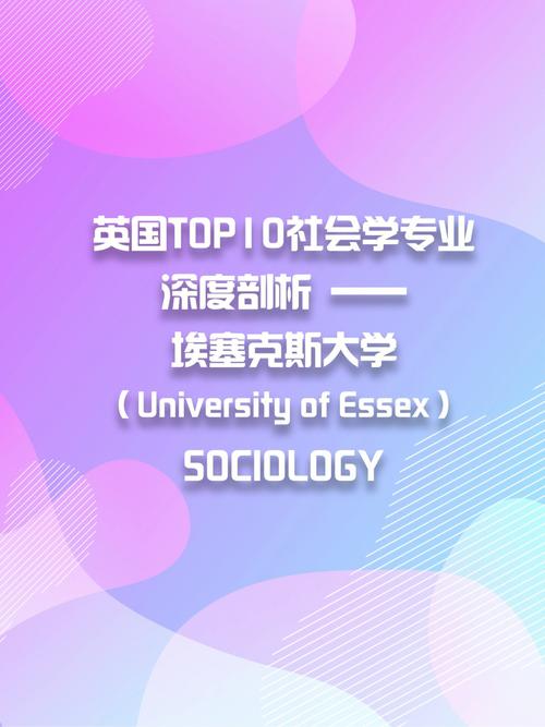 埃塞克斯大学优势专业有哪些