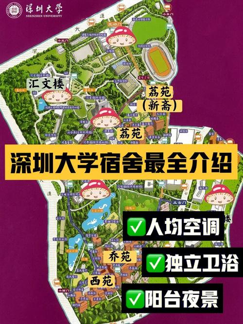 深圳大学属哪个区