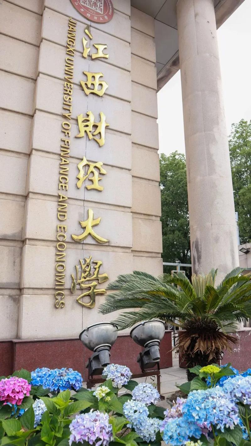 财大是哪个大学