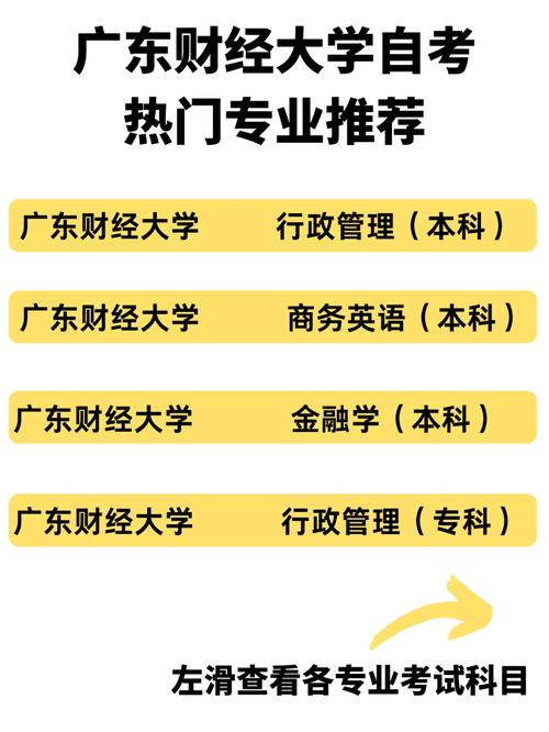 本科财经大学有哪些专业