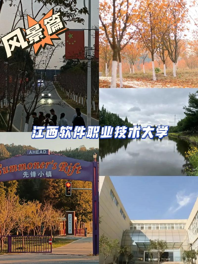 江西软件大学哪个好