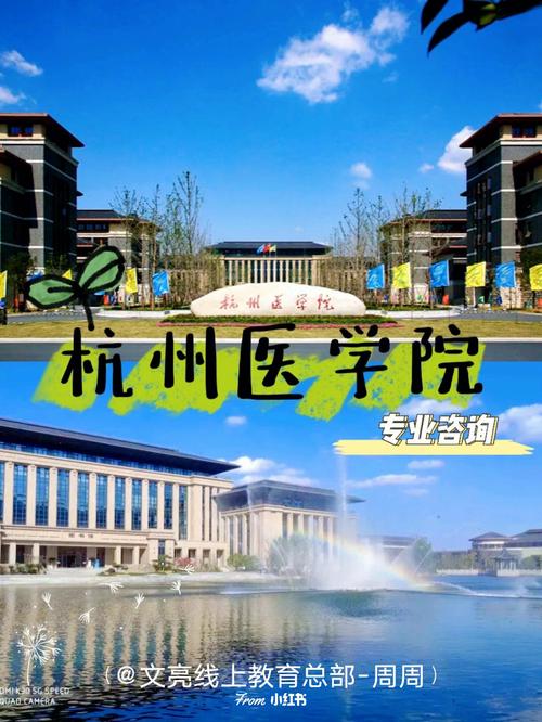 医学院看哪个区