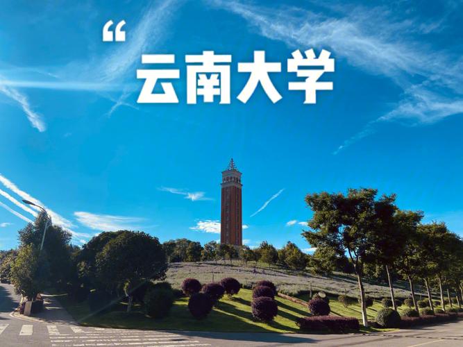 云南大学 哪个区