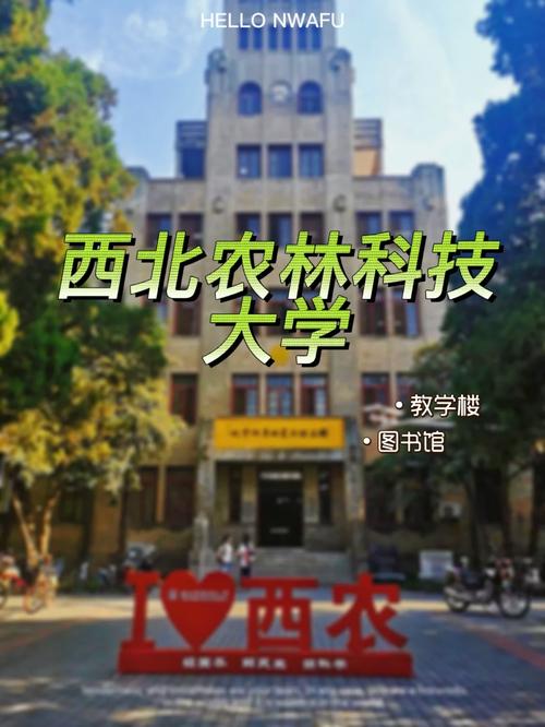 西农和东林哪个好