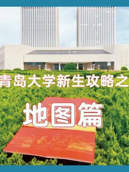 青岛大学在哪个省