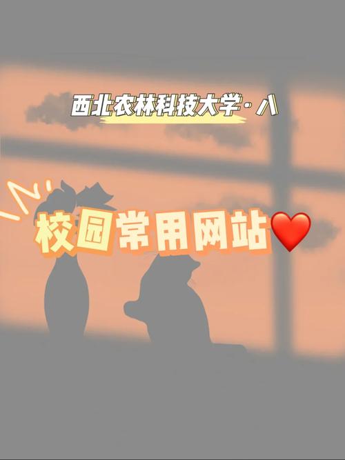 西农综测创八怎么查