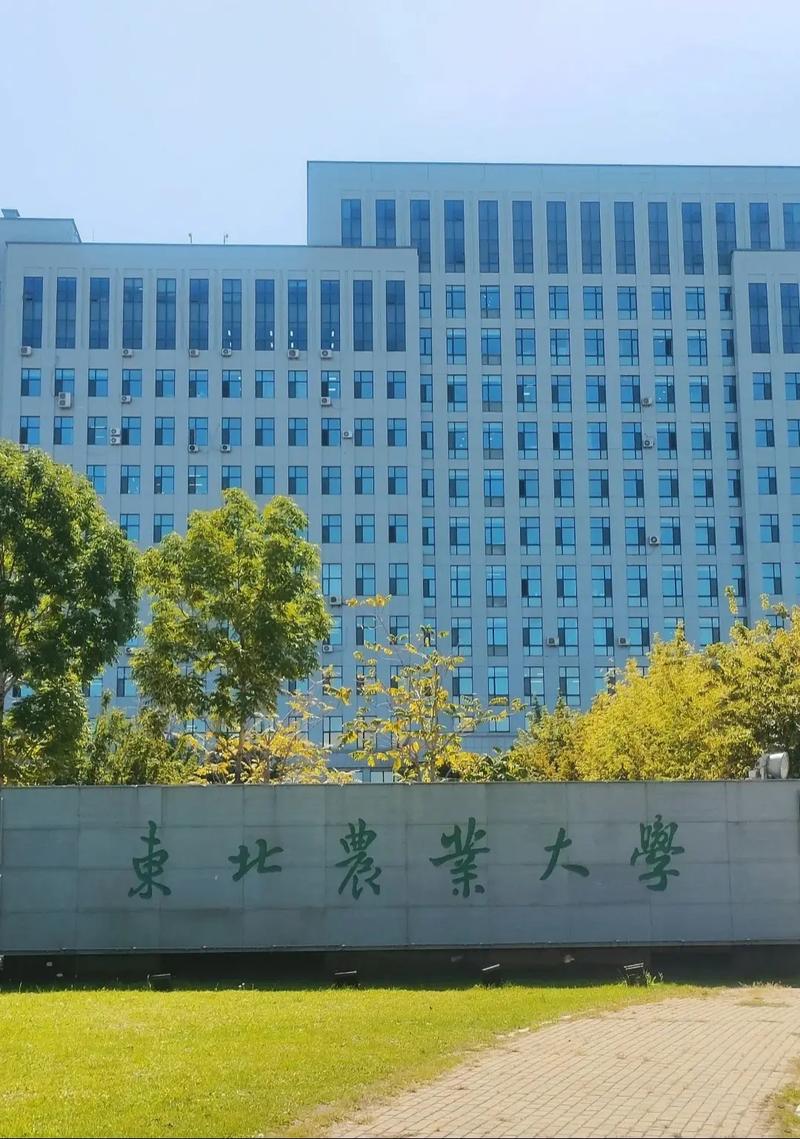 黑龙江有211哪些大学