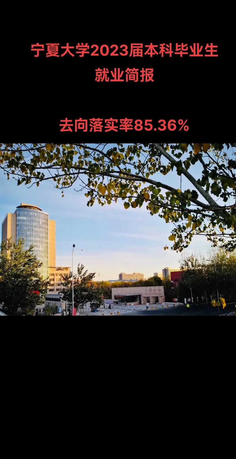 宁夏大学就业率怎么样