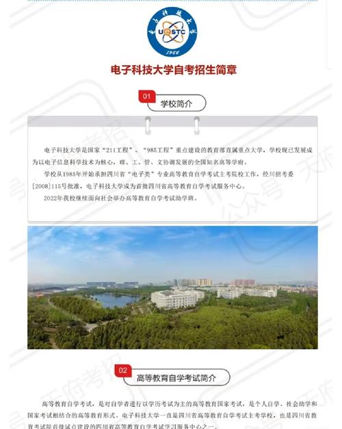 电子科技大学怎么进