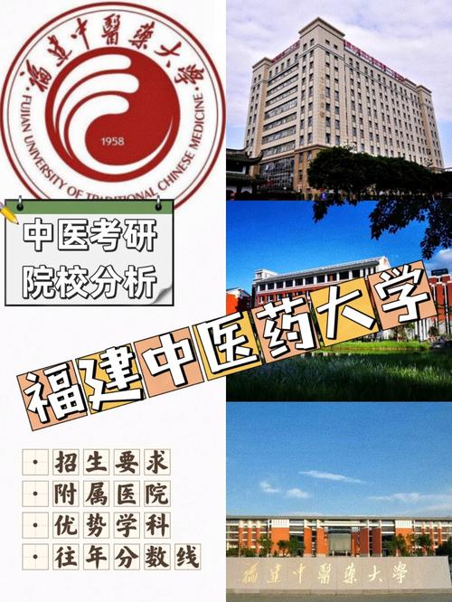 a区中医药大学有哪些