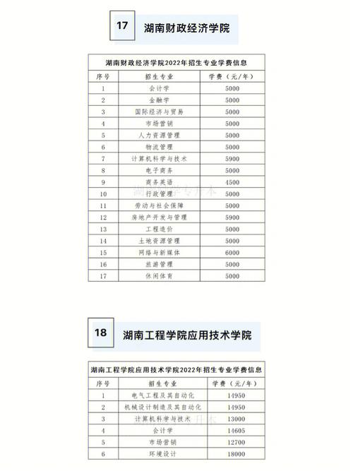 湖南信息学院本科学费多少