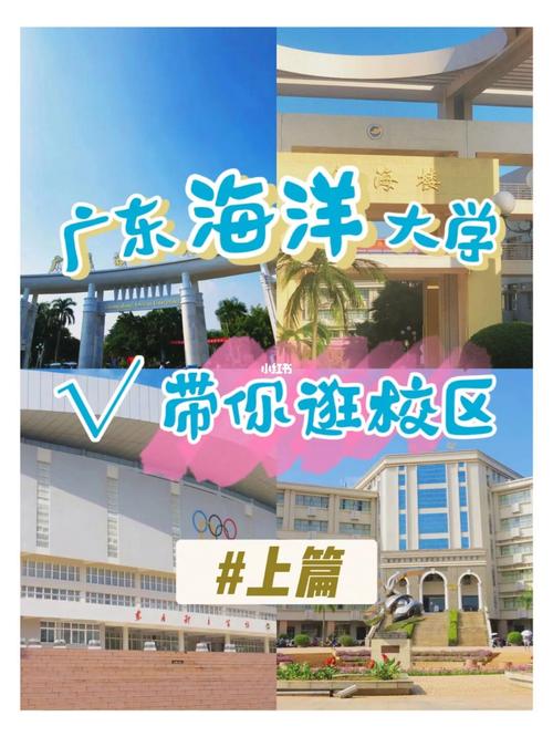 广东海洋大学有哪些活动