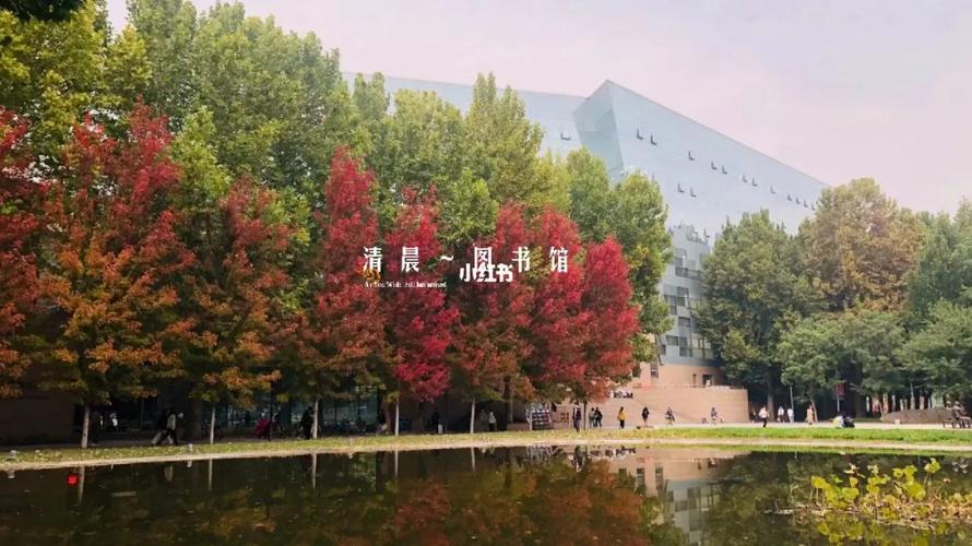 河北大学综合楼在哪里