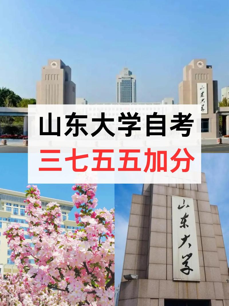 山东大学本科在哪里