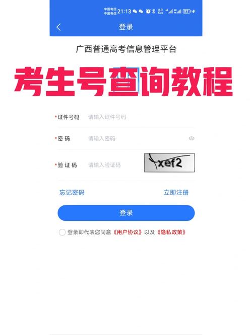 大学学生考生号怎么查