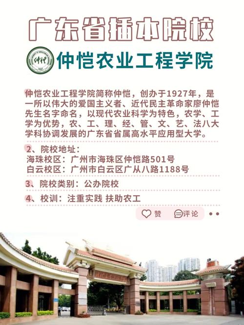 哪个大学有仲恺