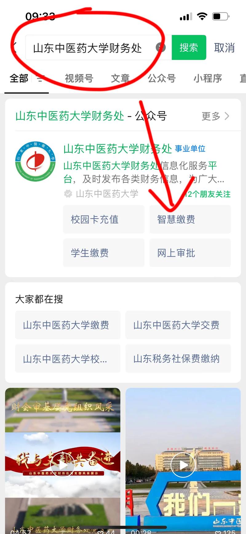 山东大学怎么在网上缴学费