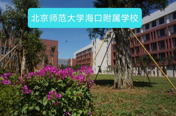 海口教育哪个大学好