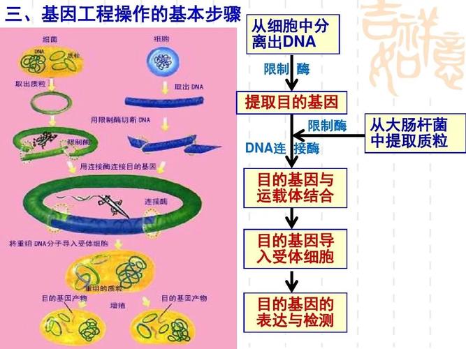 哪个学校考研遗传与育种好