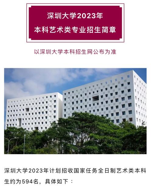 深圳大学艺术生怎么考