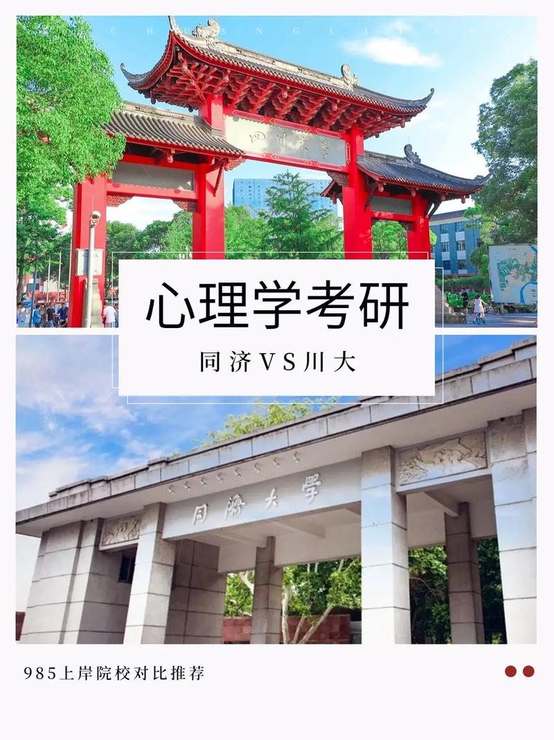 精神学哪个大学好