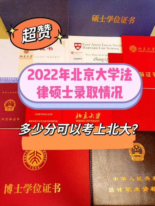 北京哪个大学有法律专业