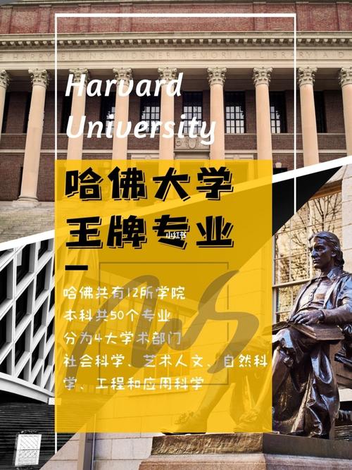 哈佛大学里有哪些专业