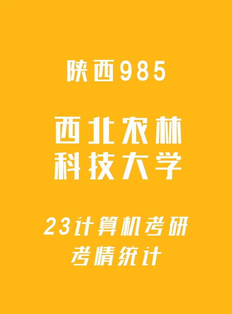 西北农林计算机怎么样