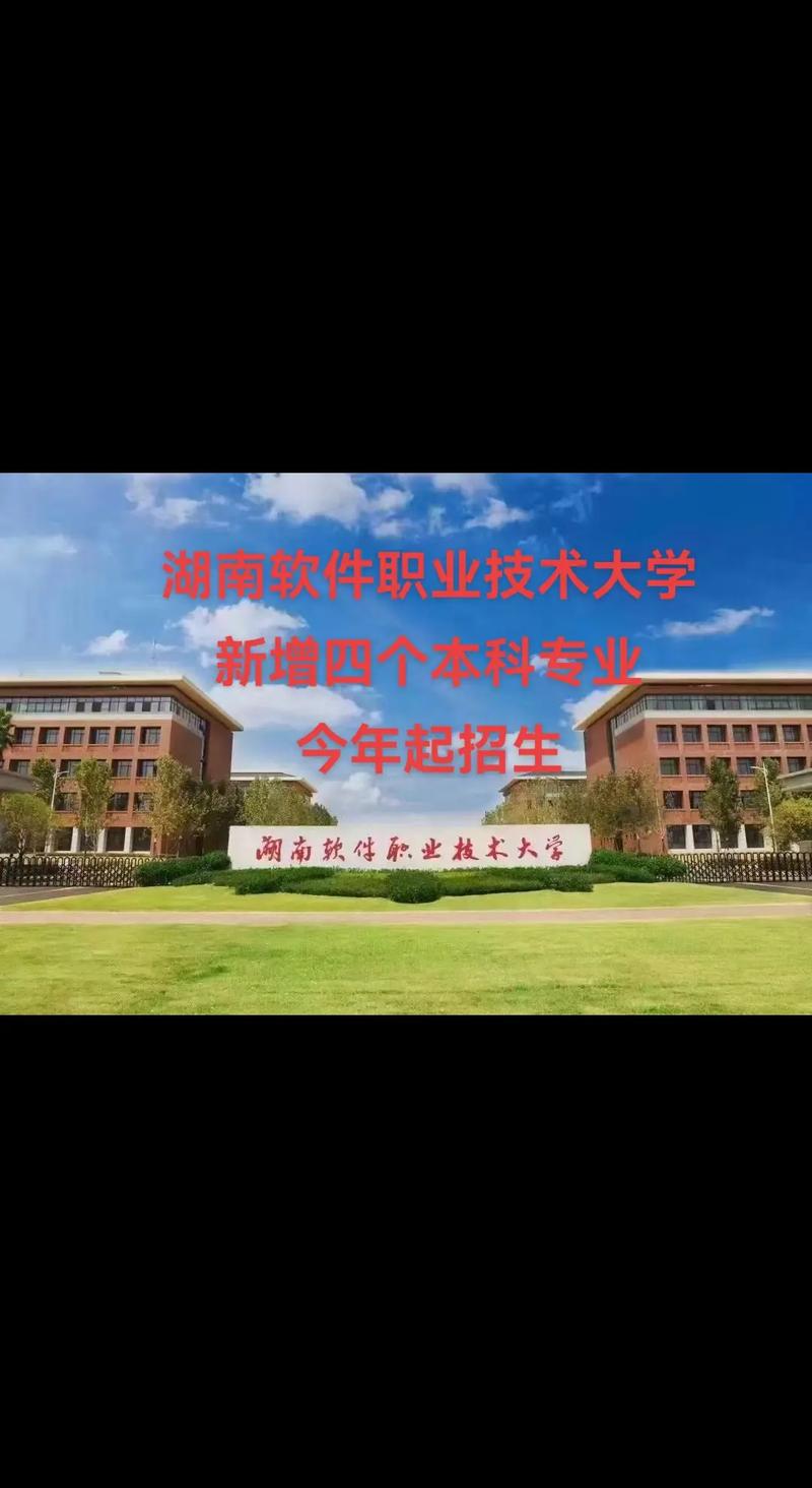 湖南软件专业哪个大学好