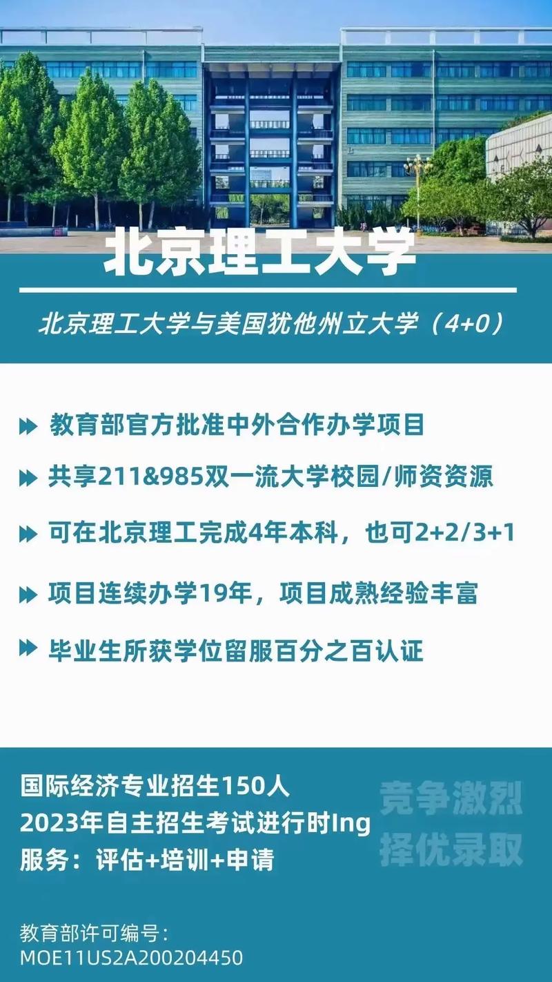 有哪些大学有国际本科专业