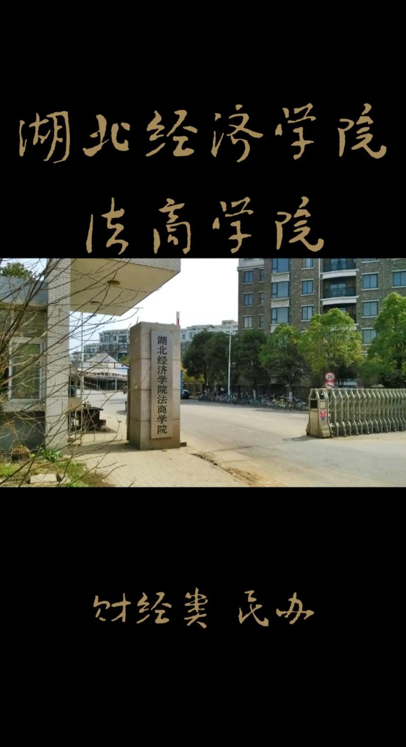 湖北经济方面的大学有哪些