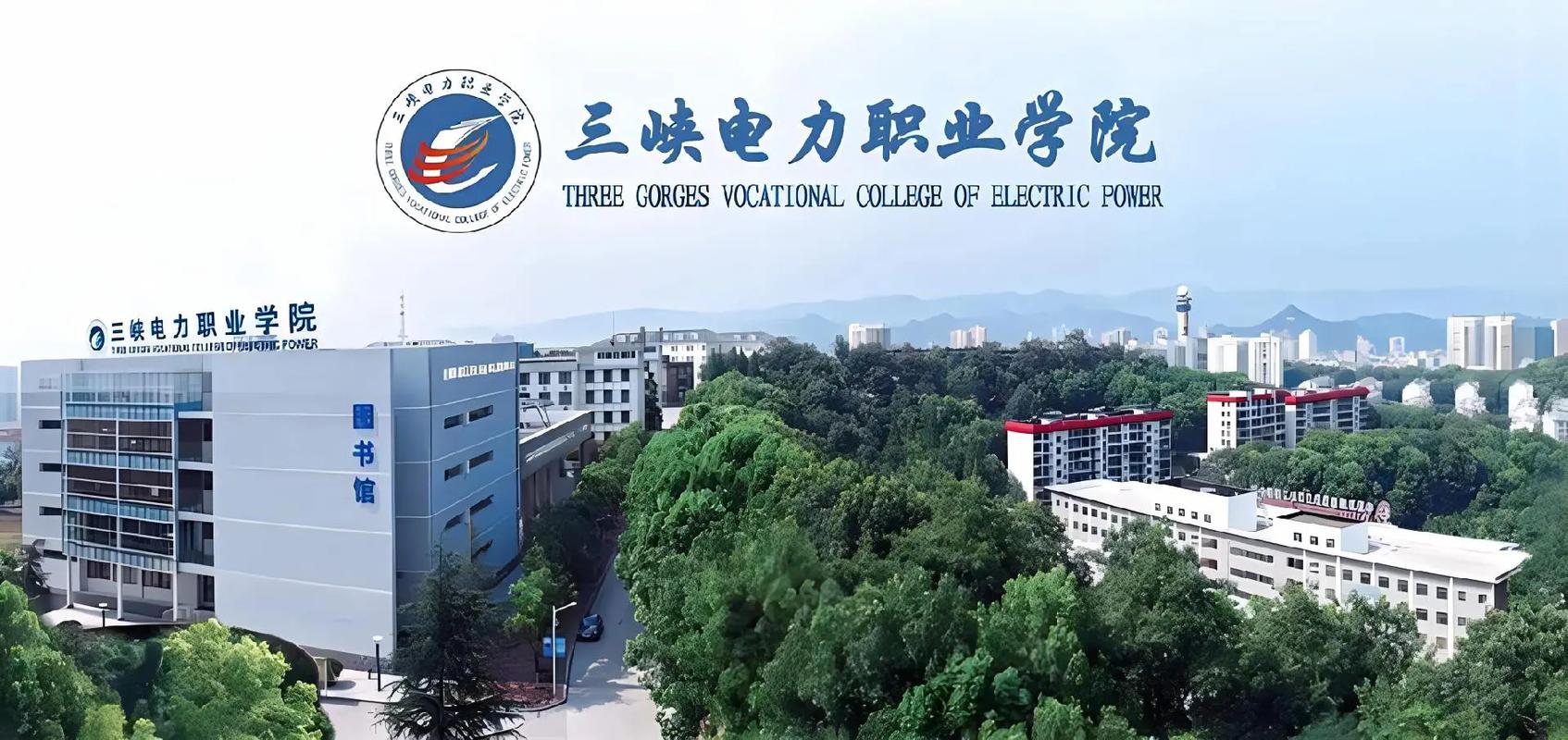 电力职业大学有哪些学校