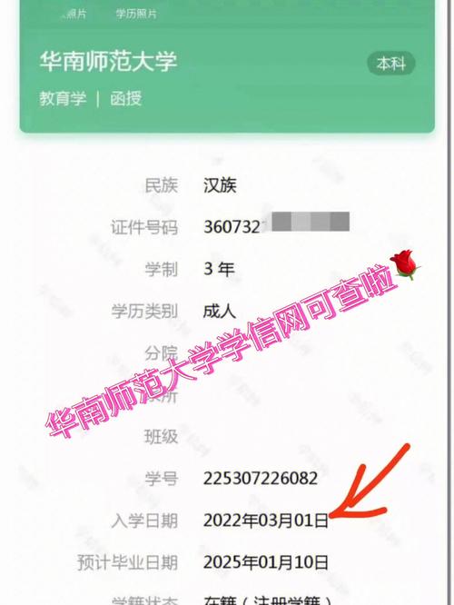 哪个网站可以查询大学专业