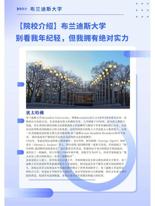 布兰迪斯大学与哪个好