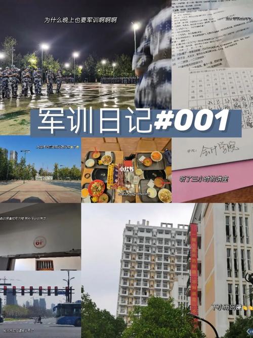 电子科技大学军训多久