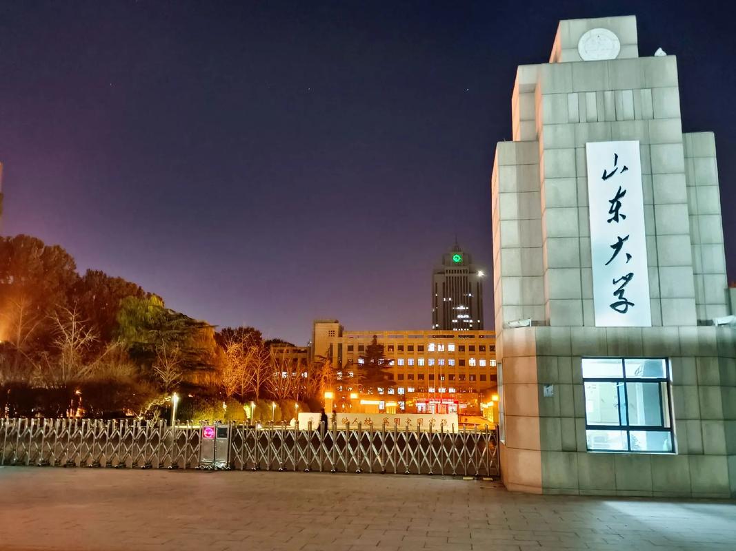 山东大学大学怎么样