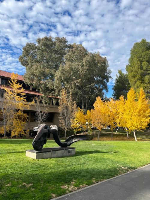 旧金山附近大学有哪些大学