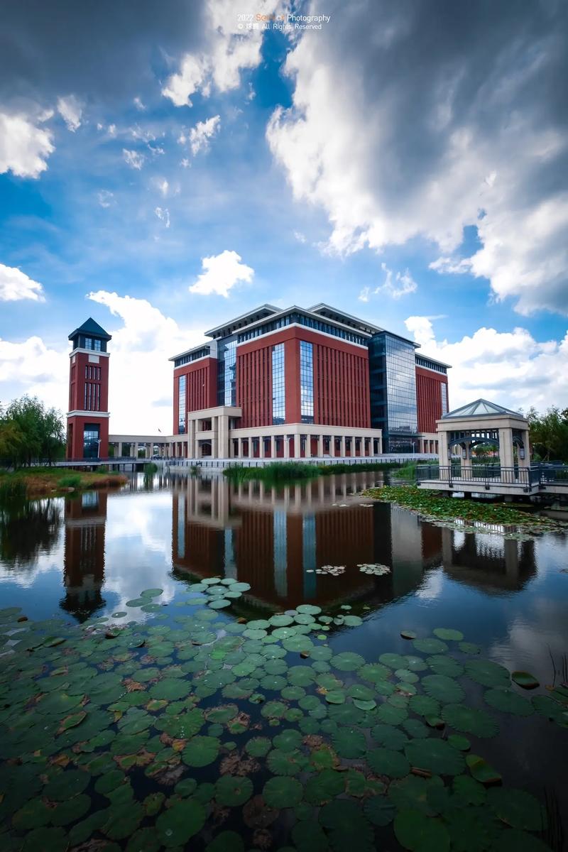 青岛市有哪些好大学