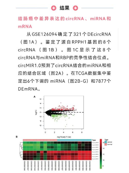 哪些非编码基因研究过的