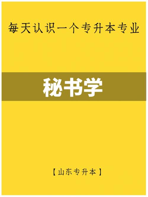 二本秘书学的出路在哪里