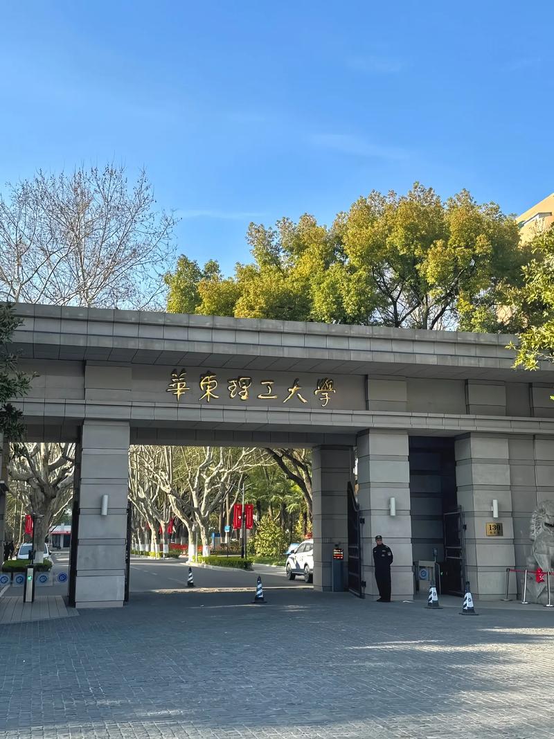 华东211大学有哪些