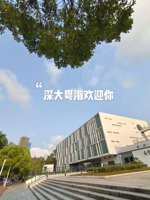 深圳大学432怎么样