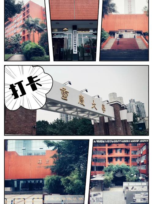 重庆大学 哪个院系