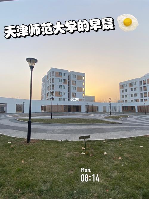 天津哪个大学留学生多