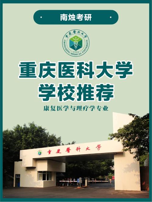 康复治疗哪个学校好