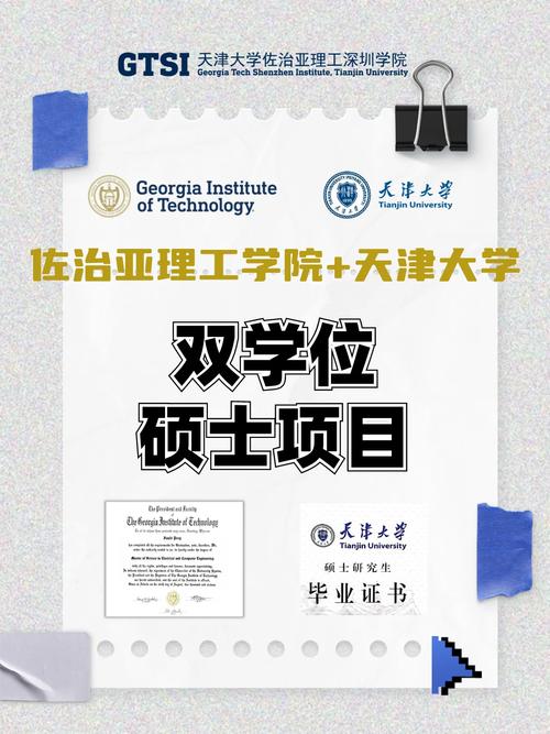 哪个学校有硕士双学位