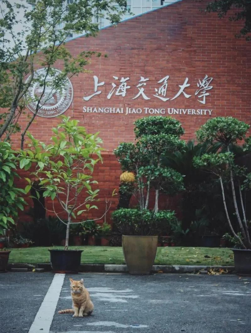 郑州大学落地信阳哪个县