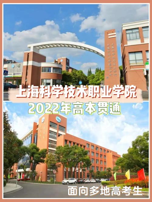 上海科学技术学院怎么样