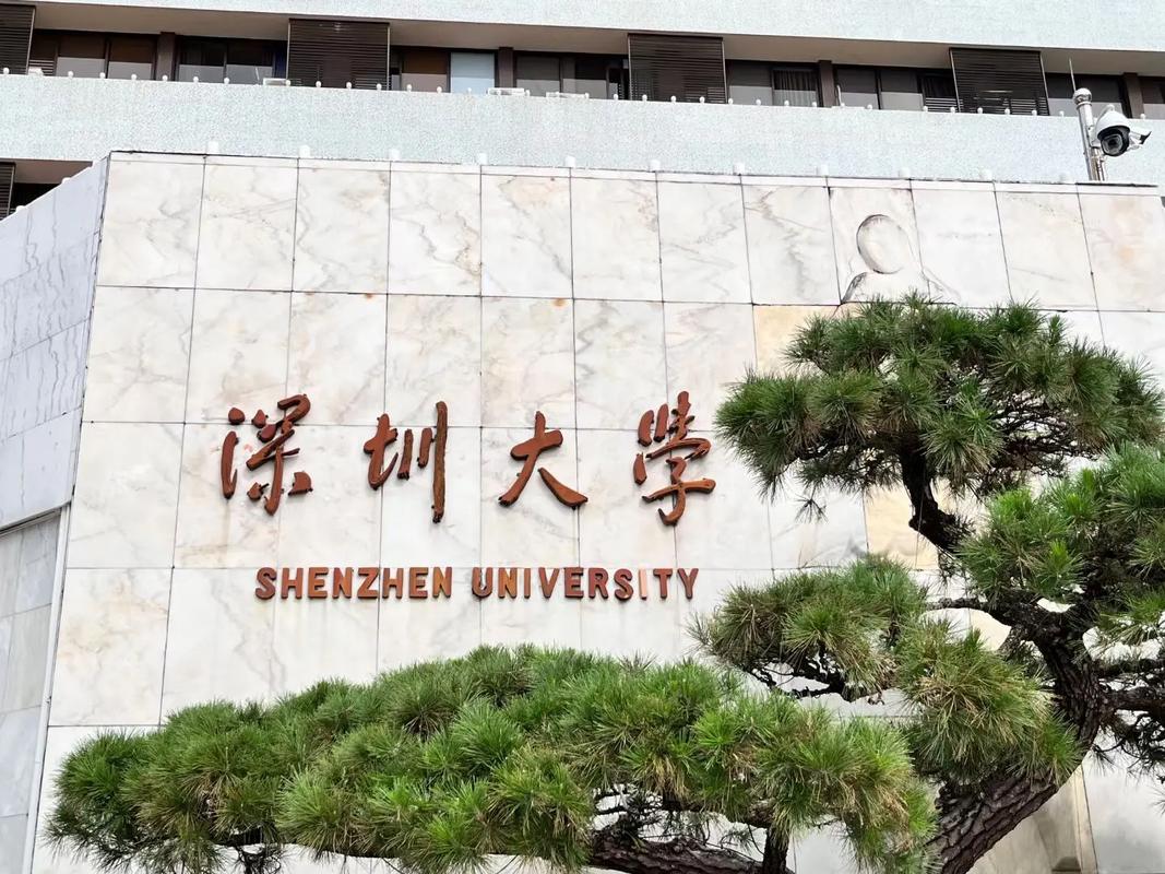 深大有多少个学院