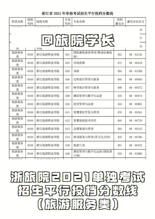 大学导游是哪个专业